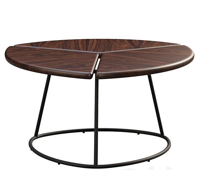 Segmenta Coffee Table