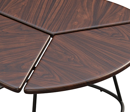 Segmenta Coffee Table